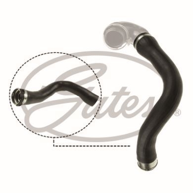 GATES Engine Hose 09-0164 - High-Pressure Fuel Hose (OE Quality, Heat & Oil Resistant)